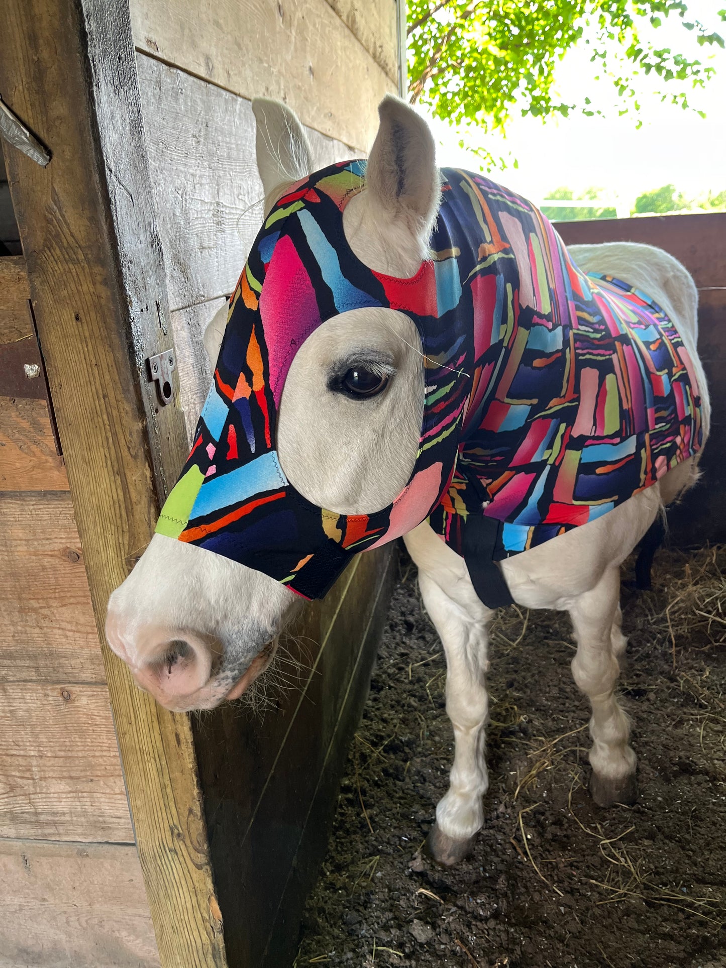 LARGE PONY/SMALL HORSE SLINKY. FREE CHARM