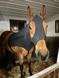 Small Pony Slinky/Small-Sized Medium Pony. FREE CHARM