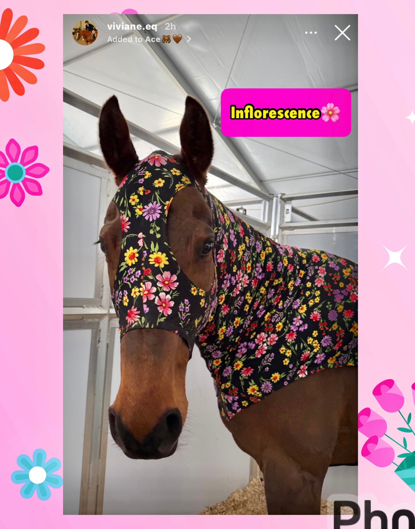 MEDIUM PONY SLINKY/SMALL-SIZED LARGE PONY. FREE CHARM