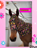 Medium Pony Slinky/Small Large Pony. FREE CHARM