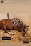 Warmblood/Draft Cross Slinky. FREE CHARM