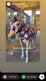 Small Pony Slinky/Small-Sized Medium Pony. FREE CHARM