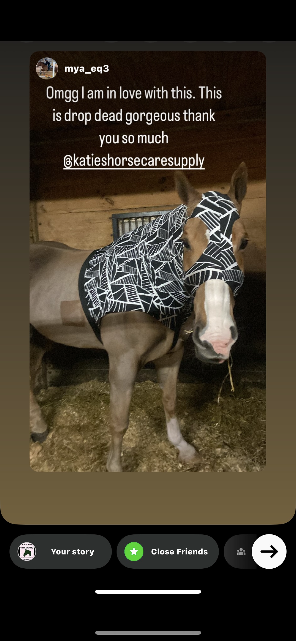 HORSE SIZE SLINKY. FREE CHARM