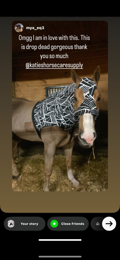 HORSE SIZE SLINKY. FREE CHARM
