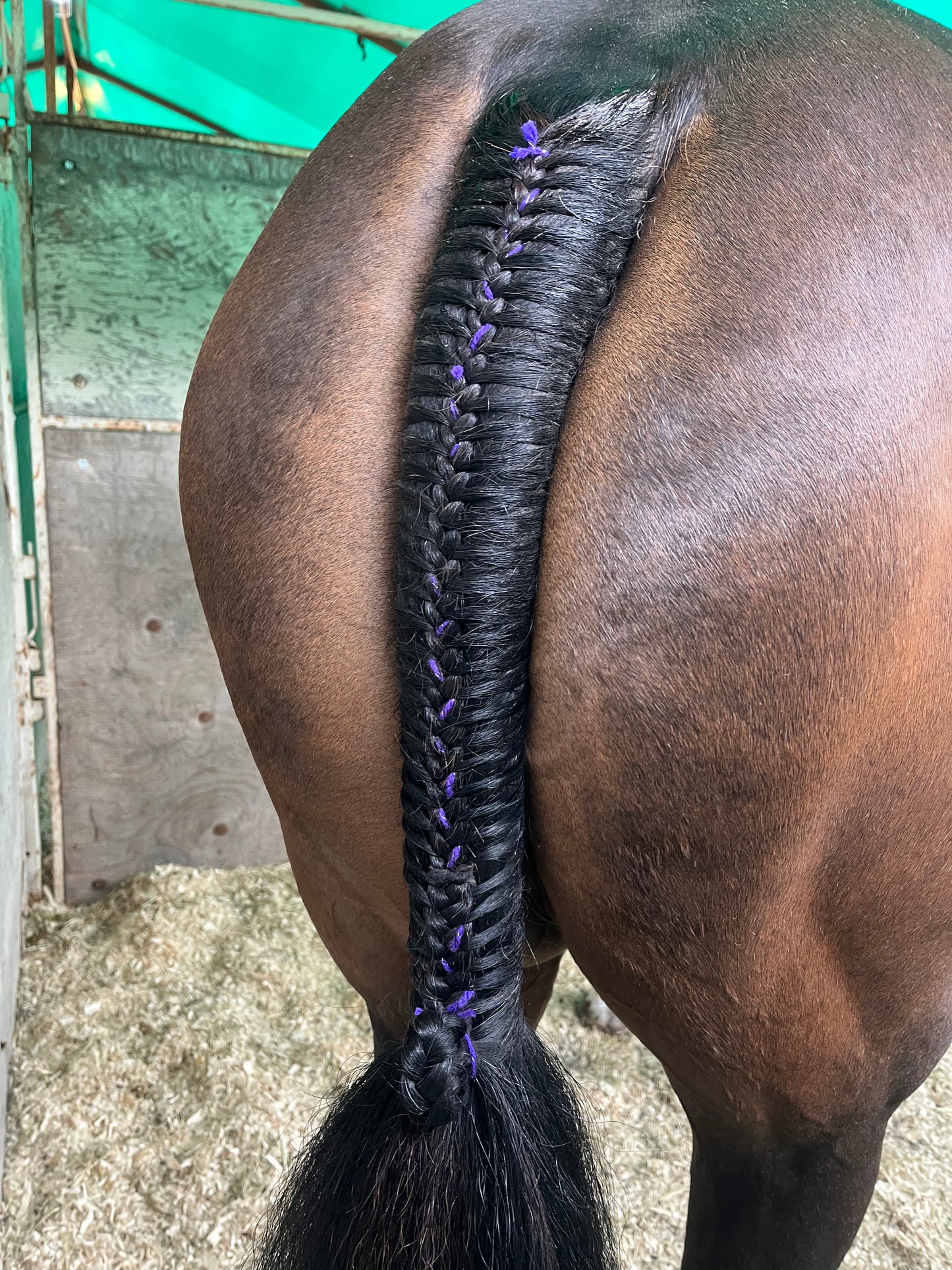 BRAIDING* Tutorials posted on the Facebook page: Katie’s Horse Care Supply (old), and Katie’s Horse Care Supply 2.0 (new). Instagram: Katie’s Horse Care Supply