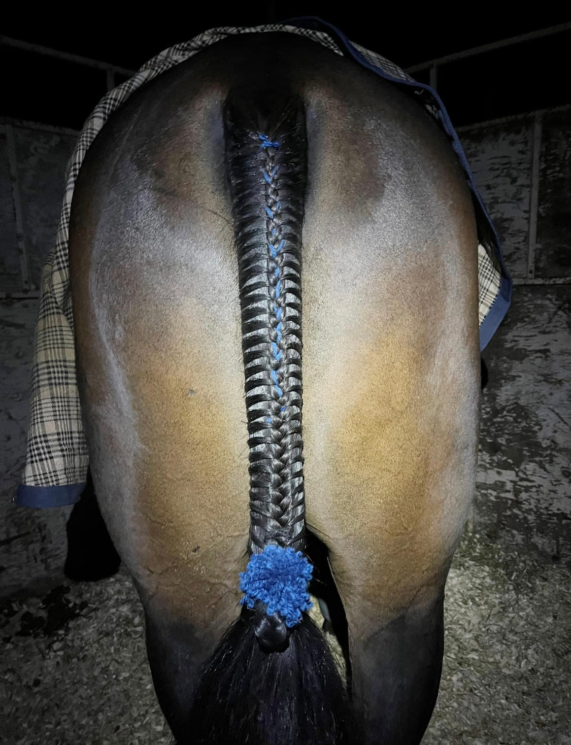 BRAIDING* Tutorials posted on the Facebook page: Katie’s Horse Care Supply (old), and Katie’s Horse Care Supply 2.0 (new). Instagram: Katie’s Horse Care Supply