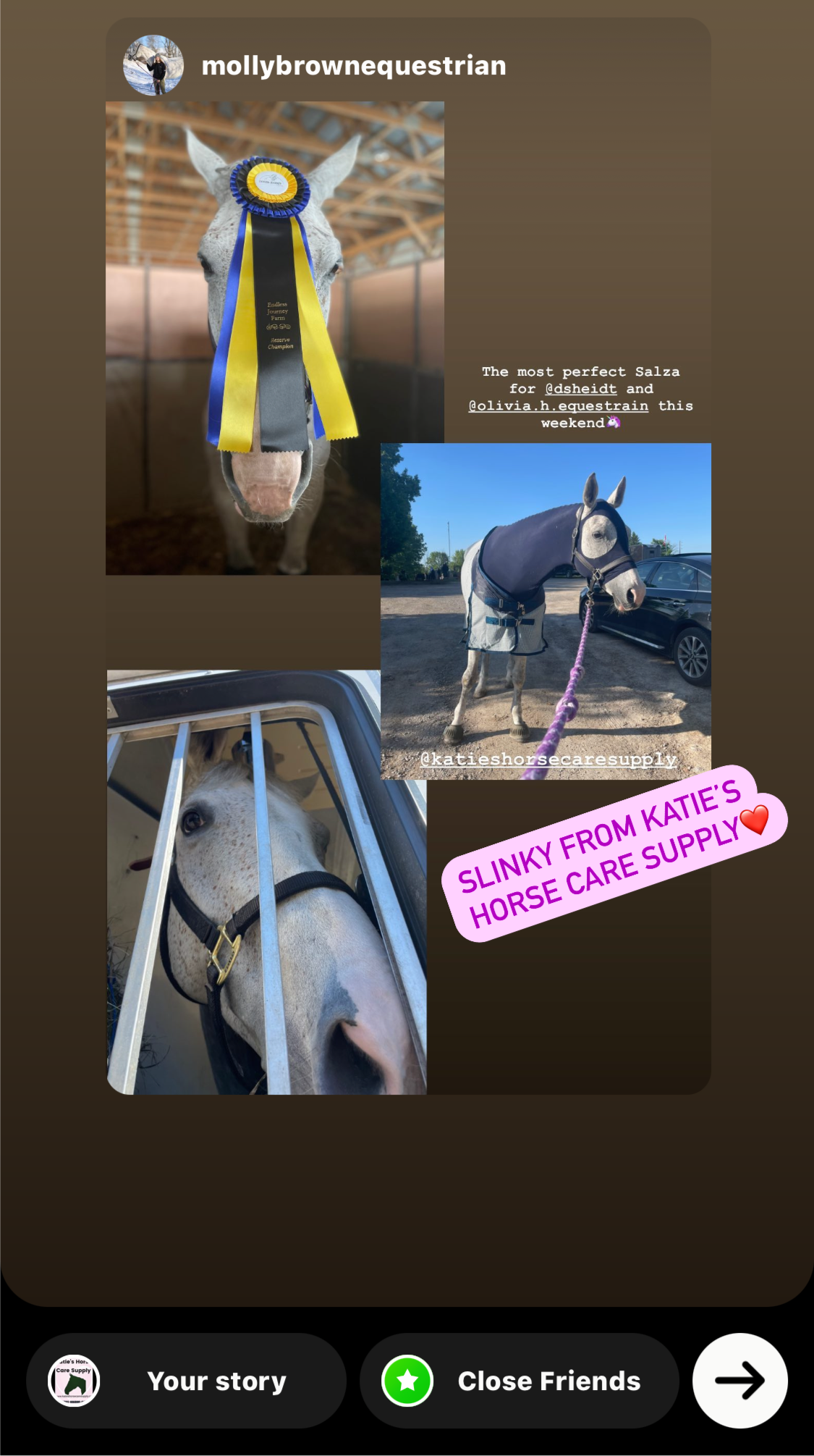HORSE SIZE SLINKY. FREE CHARM