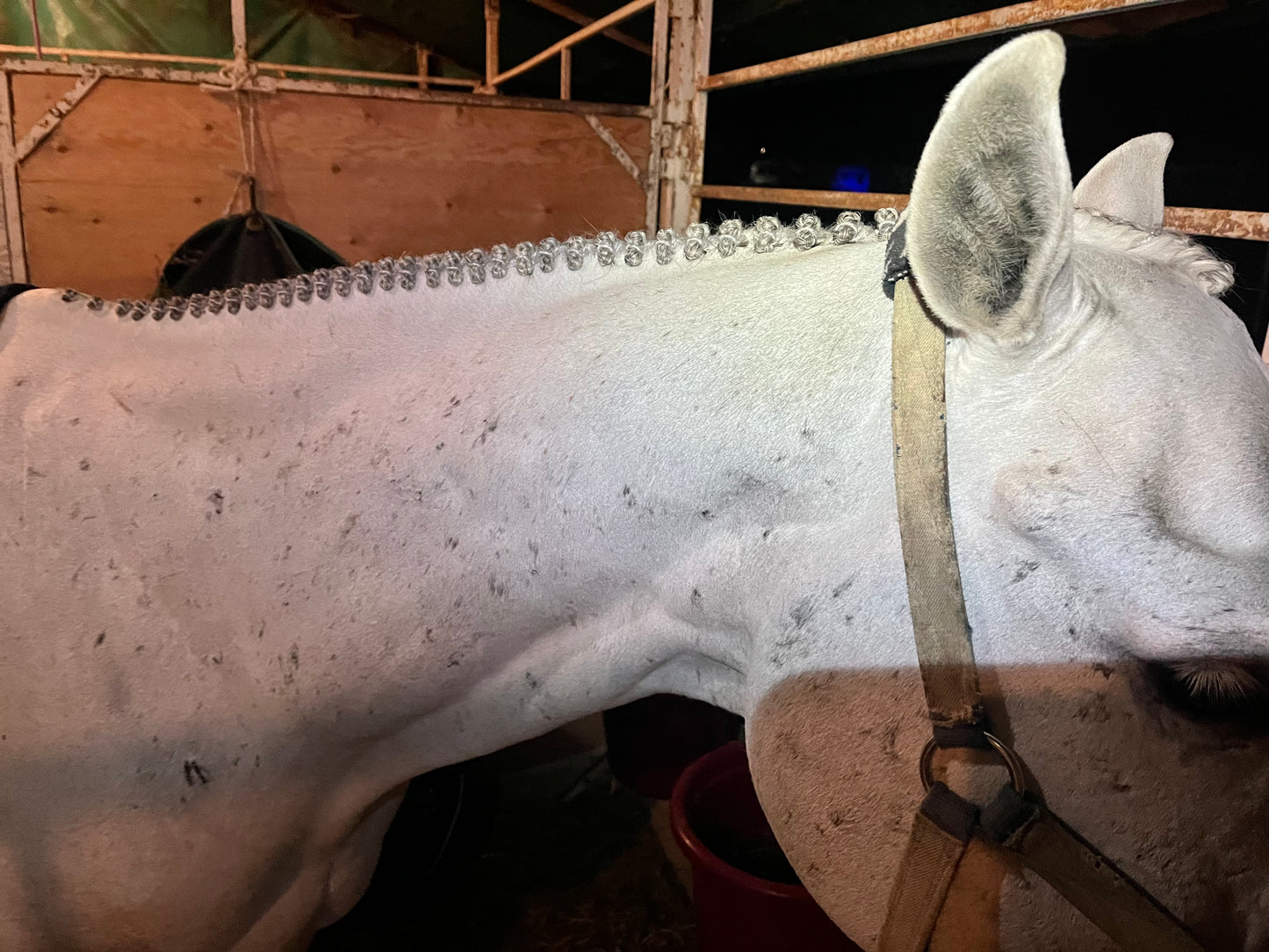 BRAIDING* Tutorials posted on the Facebook page: Katie’s Horse Care Supply (old), and Katie’s Horse Care Supply 2.0 (new). Instagram: Katie’s Horse Care Supply