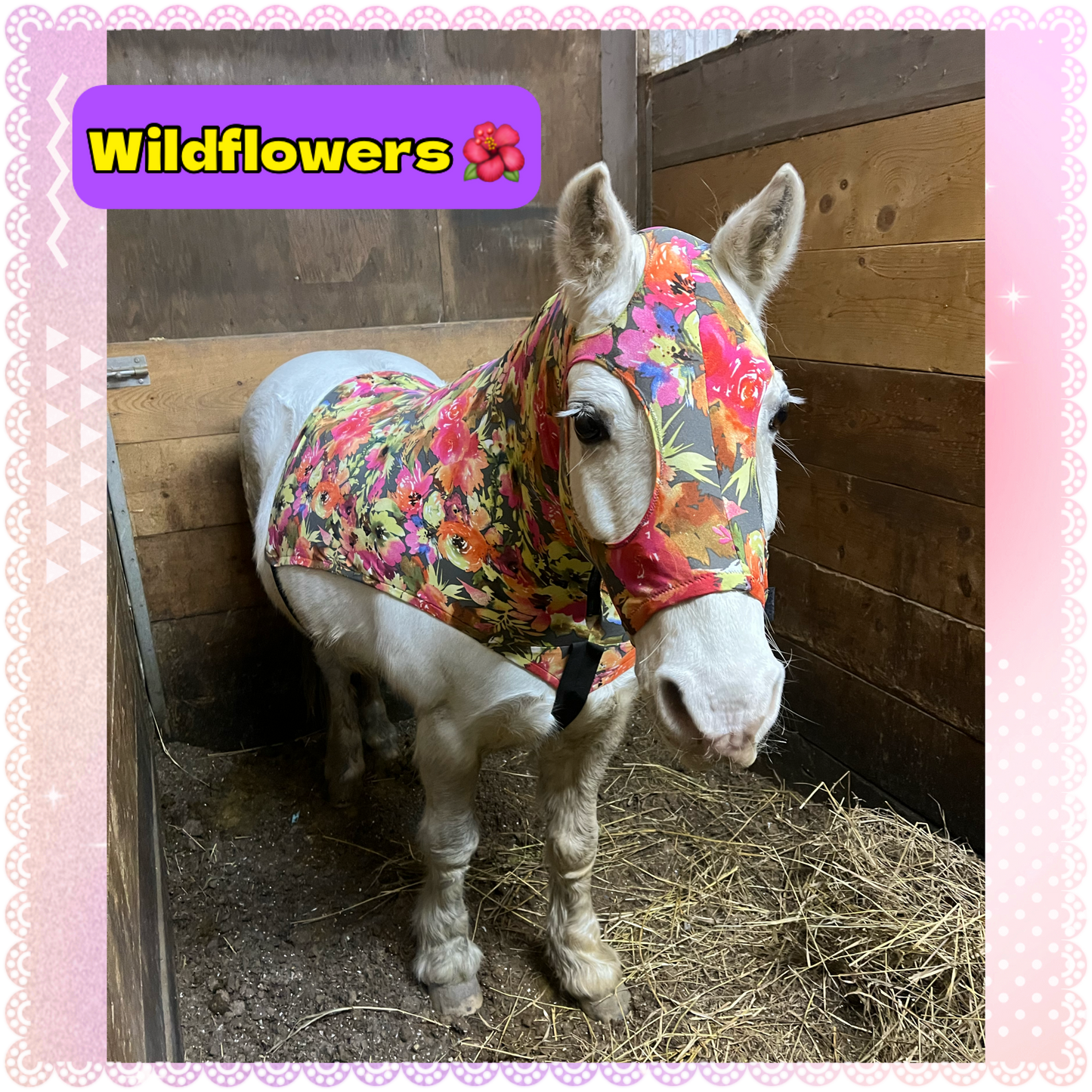 SMALL PONY SLINKY/SMALL-SIZED MEDIUM PONY. FREE CHARM