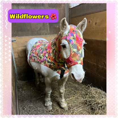 SMALL PONY SLINKY/SMALL-SIZED MEDIUM PONY. FREE CHARM