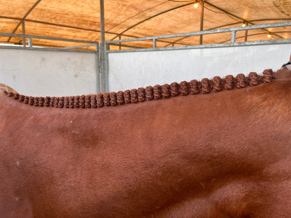 BRAIDING* Tutorials posted on the Facebook page: Katie’s Horse Care Supply (old), and Katie’s Horse Care Supply 2.0 (new). Instagram: Katie’s Horse Care Supply