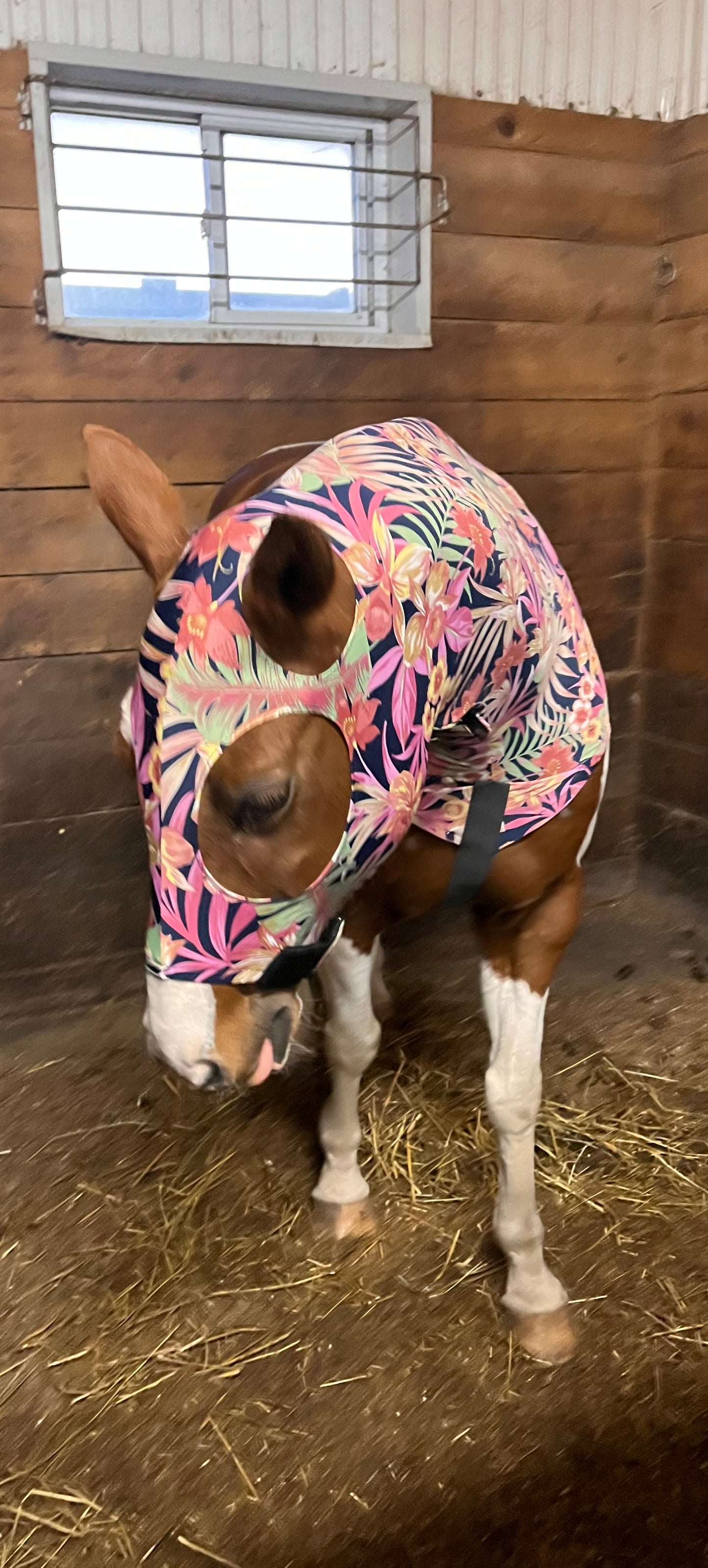 LARGE PONY/SMALL HORSE SLINKY. FREE CHARM