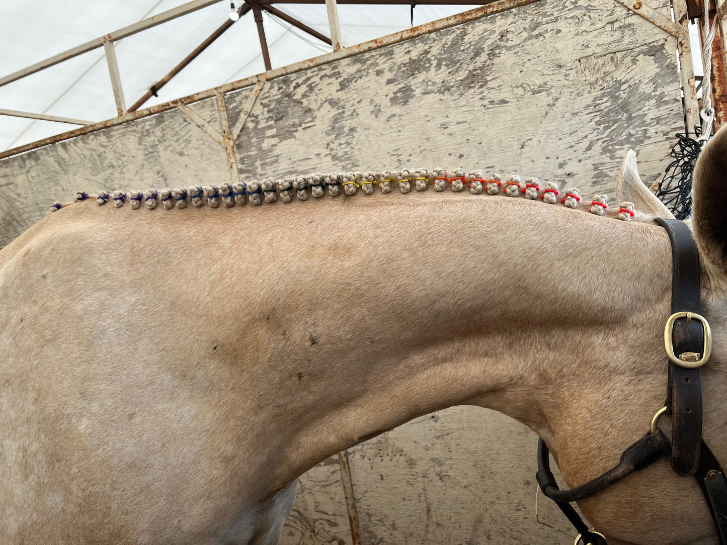 BRAIDING* Tutorials posted on the Facebook page: Katie’s Horse Care Supply (old), and Katie’s Horse Care Supply 2.0 (new). Instagram: Katie’s Horse Care Supply