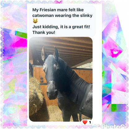 MEDIUM PONY SLINKY/SMALL-SIZED LARGE PONY. FREE CHARM