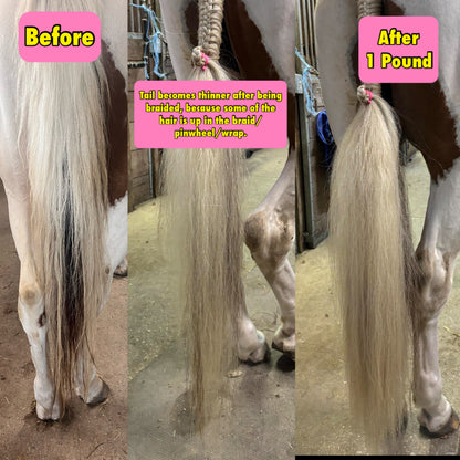 NATURAL LOOP FAKE TAILS. Real Horse Hair. Free Cover Bag, Pom Pom, Bridle Charm, Loop Charm. $99.99 - $550