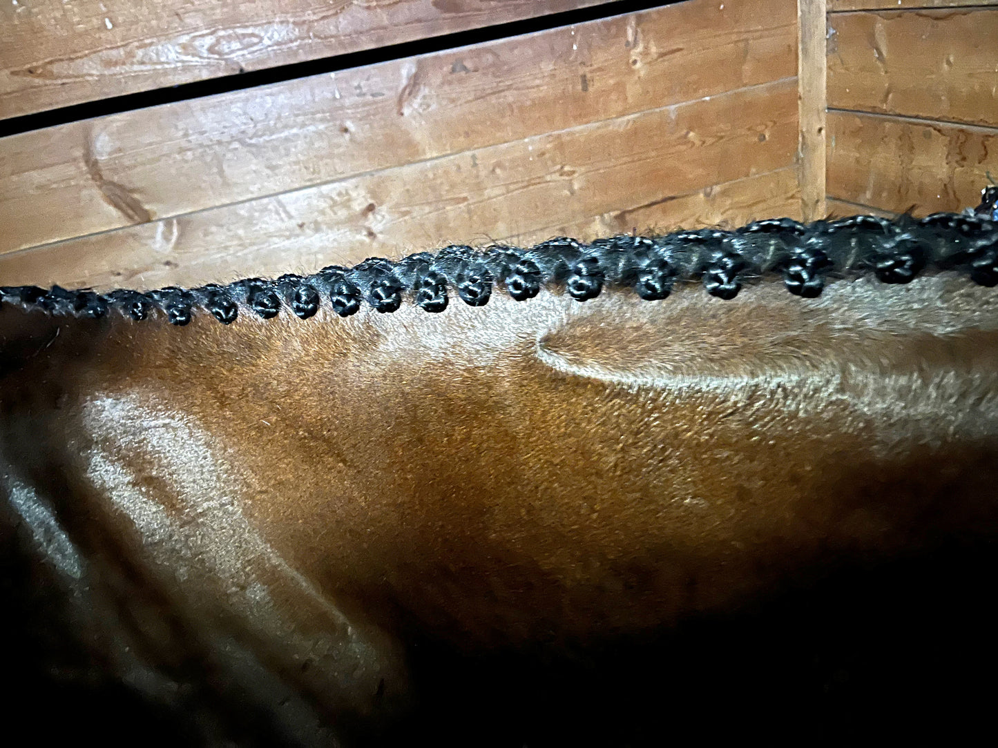 BRAIDING* Tutorials posted on the Facebook page: Katie’s Horse Care Supply (old), and Katie’s Horse Care Supply 2.0 (new). Instagram: Katie’s Horse Care Supply