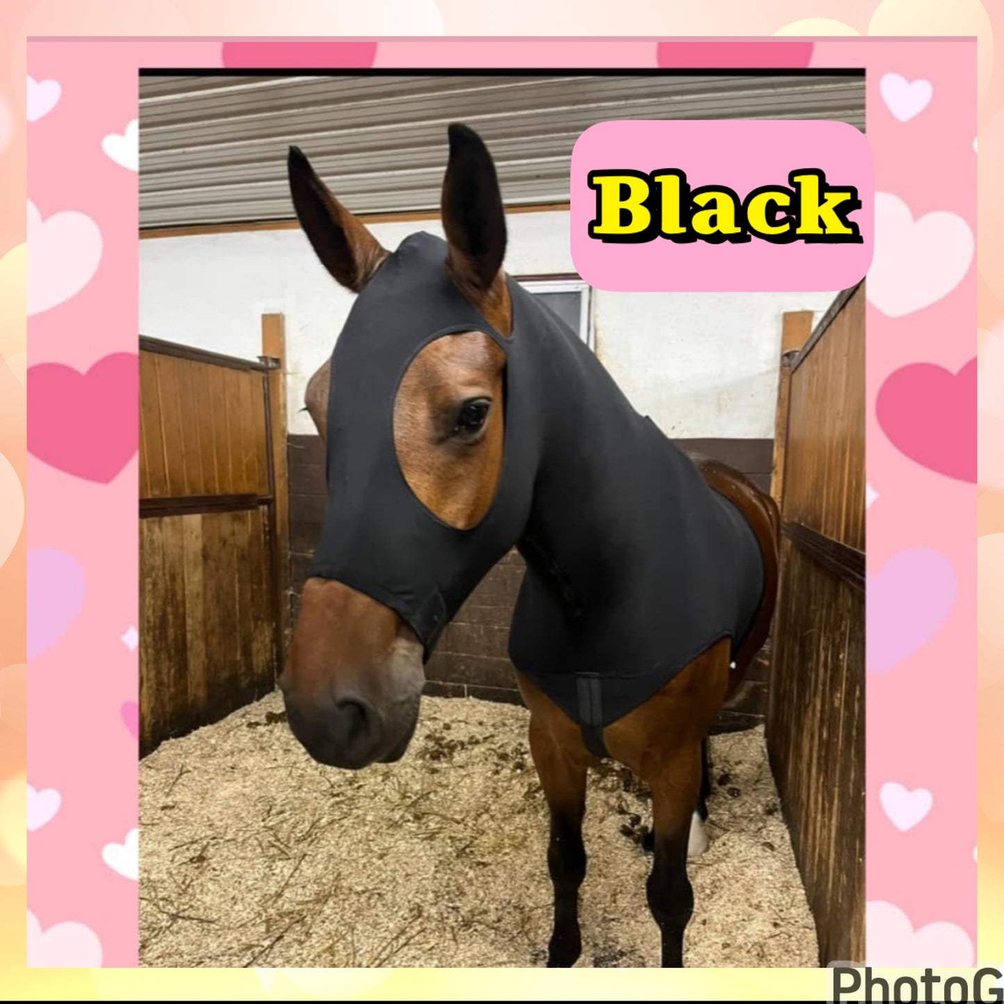 LARGE PONY/SMALL HORSE SLINKY. FREE CHARM