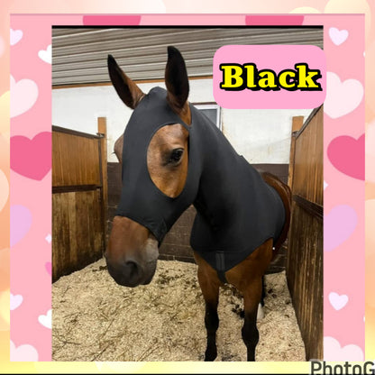 LARGE PONY/SMALL HORSE SLINKY. FREE CHARM