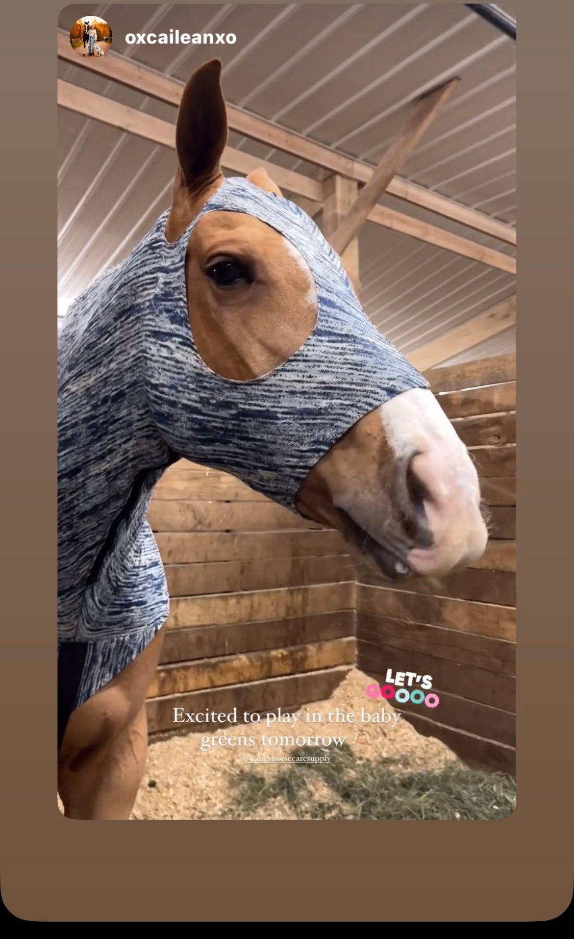 HORSE SIZE SLINKY. FREE CHARM