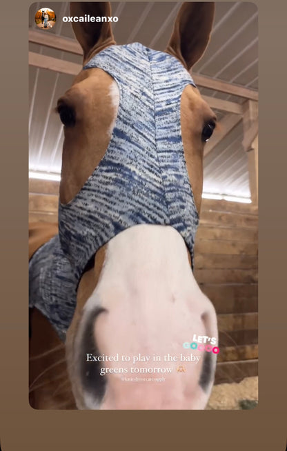 HORSE SIZE SLINKY. FREE CHARM