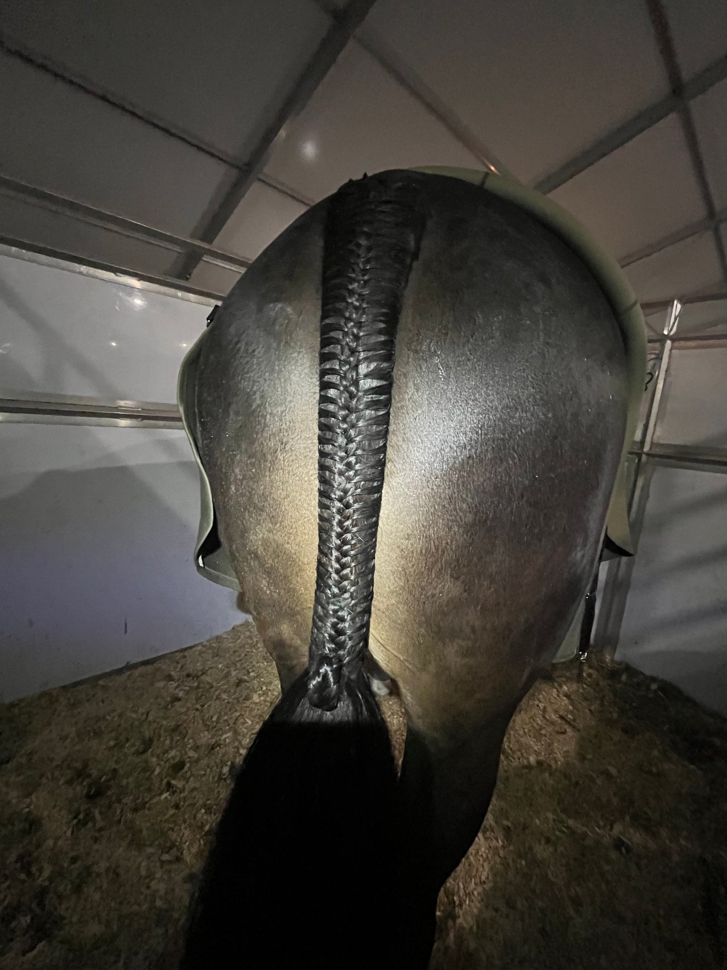 BRAIDING* Tutorials posted on the Facebook page: Katie’s Horse Care Supply (old), and Katie’s Horse Care Supply 2.0 (new). Instagram: Katie’s Horse Care Supply