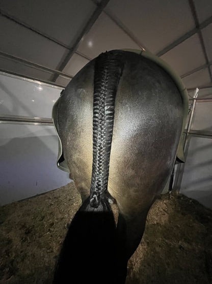 BRAIDING* Tutorials posted on the Facebook page: Katie’s Horse Care Supply (old), and Katie’s Horse Care Supply 2.0 (new). Instagram: Katie’s Horse Care Supply