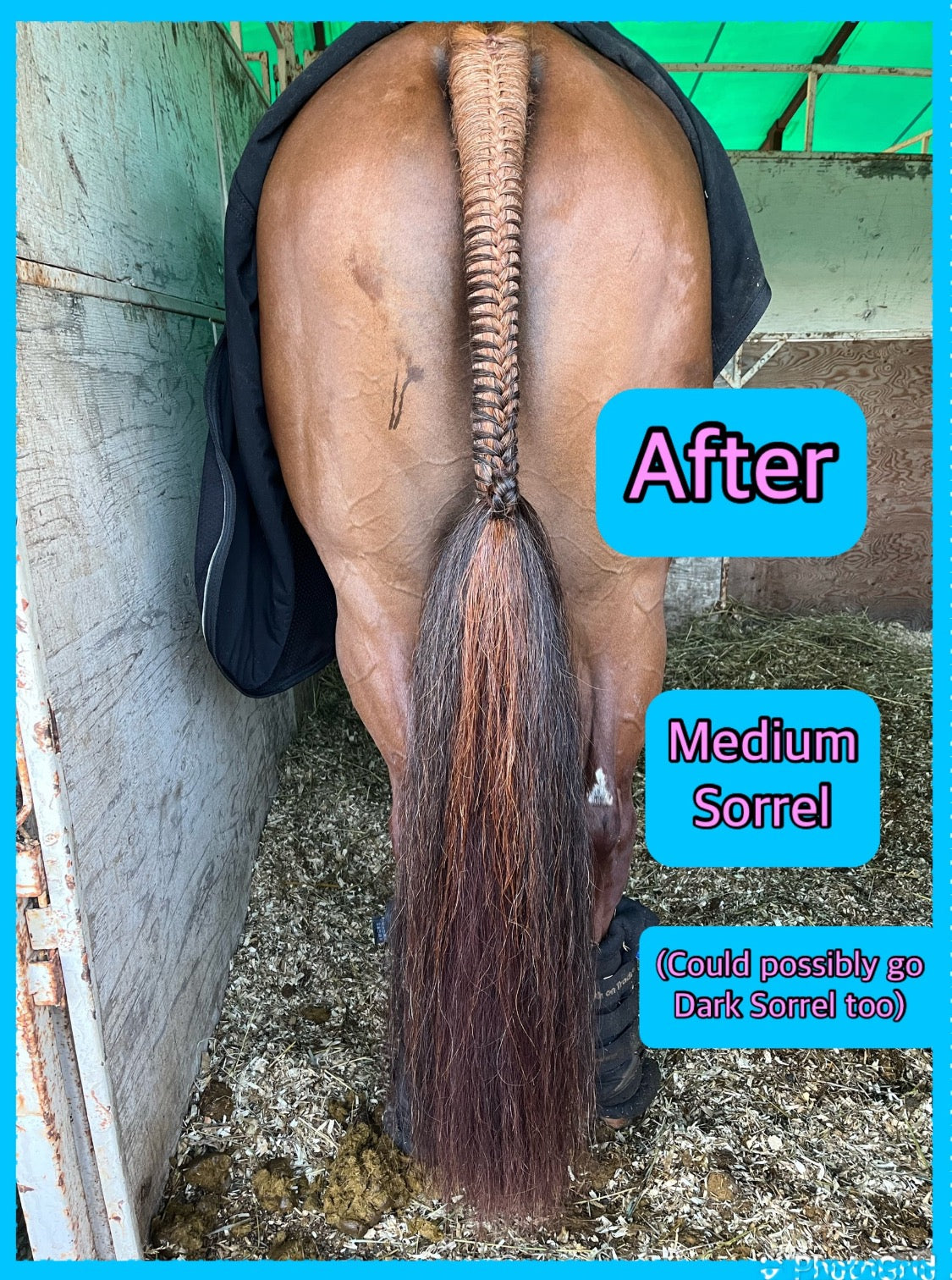NATURAL LOOP FAKE TAILS. Real Horse Hair. Free Cover Bag, Pom Pom, Bridle Charm, Loop Charm. $99.99 - $550