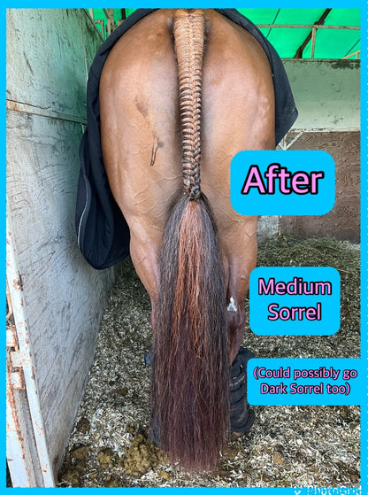 NATURAL LOOP FAKE TAILS. Real Horse Hair. Free Cover Bag, Pom Pom, Bridle Charm, Loop Charm. $99.99 - $550
