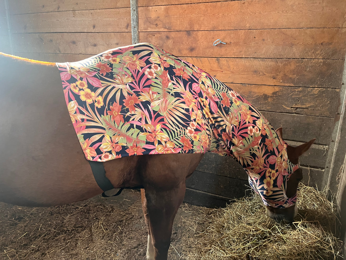 HORSE SIZE SLINKY. FREE CHARM