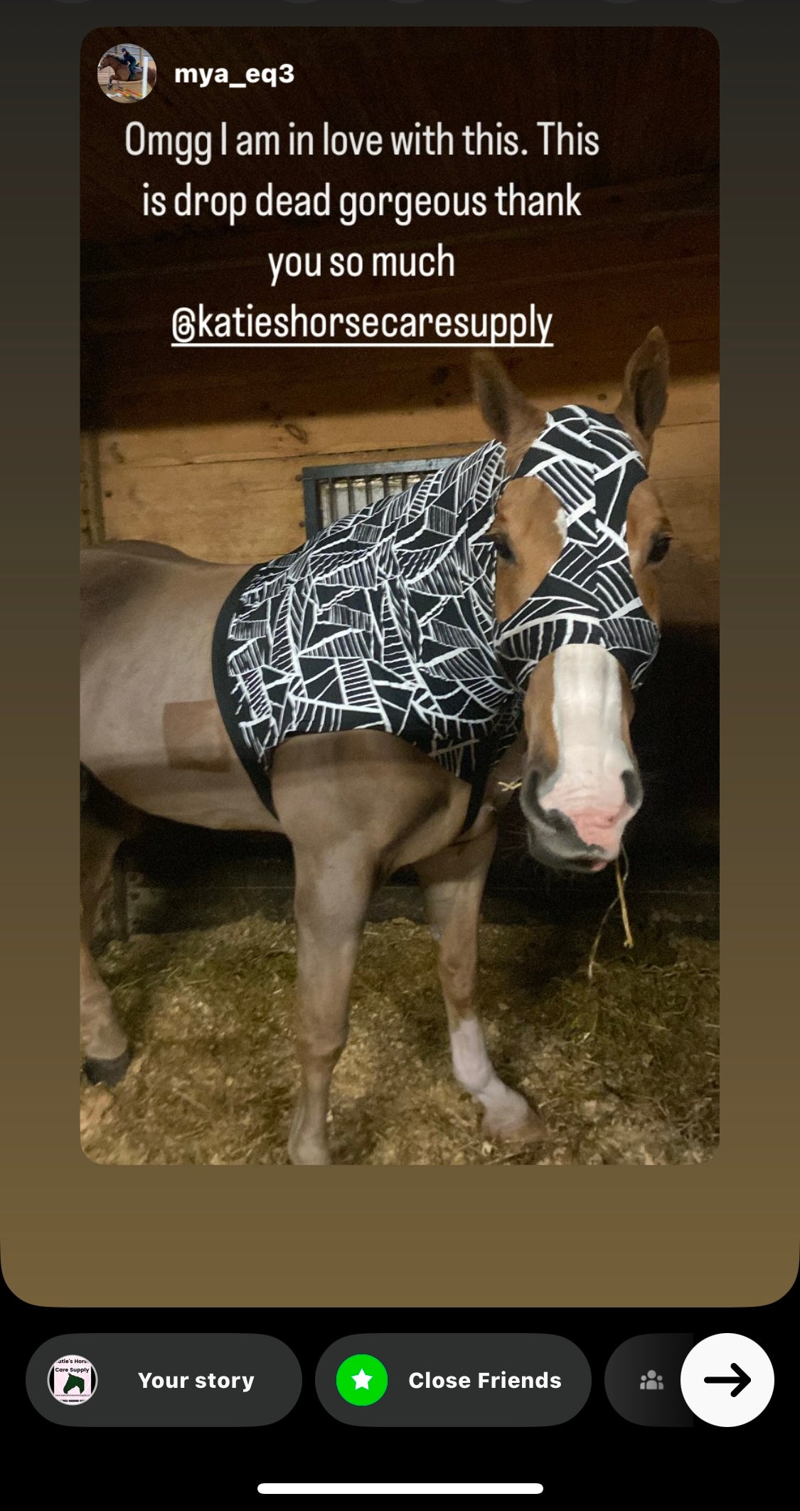LARGE PONY/SMALL HORSE SLINKY. FREE CHARM