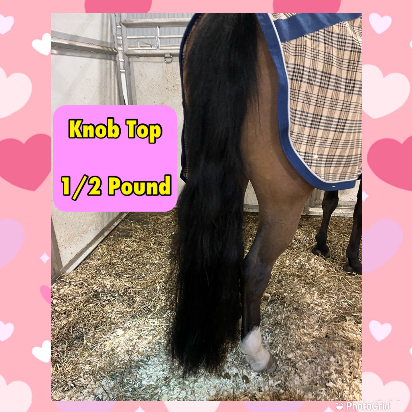KNOB TOP Fake Tails 1/2 Pound. Real Horse Hair. Free Cover Bag, Pom Pom, Bridle Charm, Loop Charm. $99.99 - $125