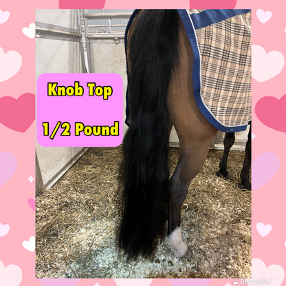 KNOB TOP Fake Tails 1/2 Pound. Real Horse Hair. Free Cover Bag, Pom Pom, Bridle Charm, Loop Charm. $99.99 - $125