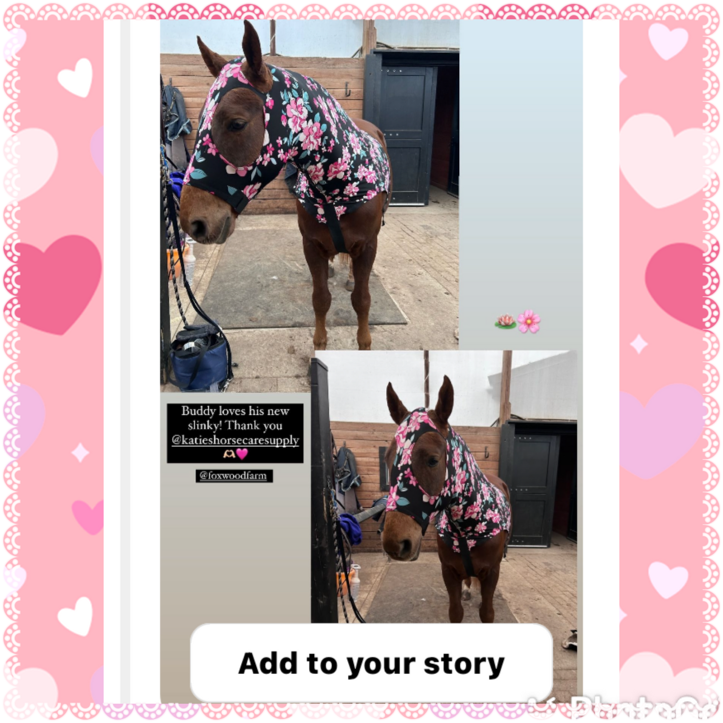 LARGE PONY/SMALL HORSE SLINKY. FREE CHARM