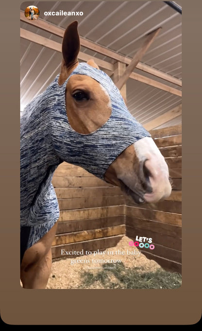 LARGE PONY/SMALL HORSE SLINKY. FREE CHARM
