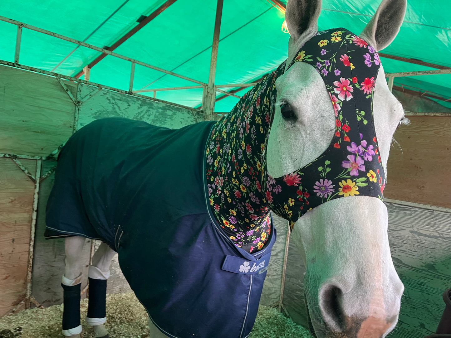 HORSE SIZE SLINKY. FREE CHARM