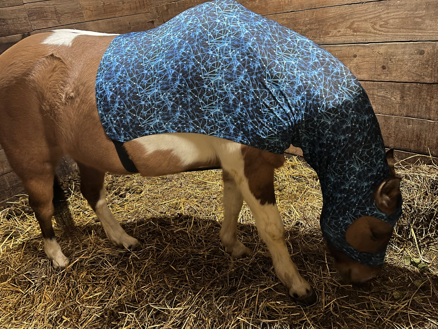 HORSE SIZE SLINKY. FREE CHARM