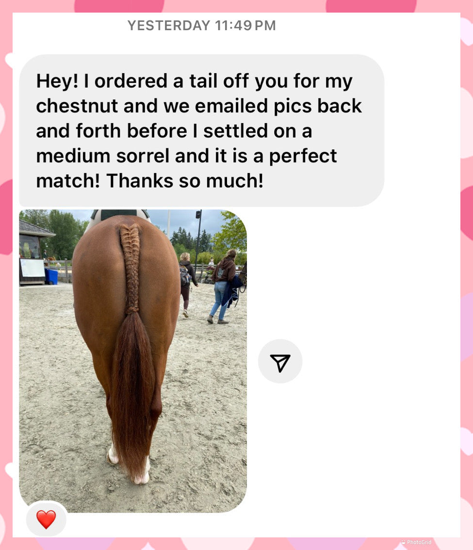NATURAL LOOP FAKE TAILS. Real Horse Hair. Free Cover Bag, Pom Pom, Bridle Charm, Loop Charm. $99.99 - $550