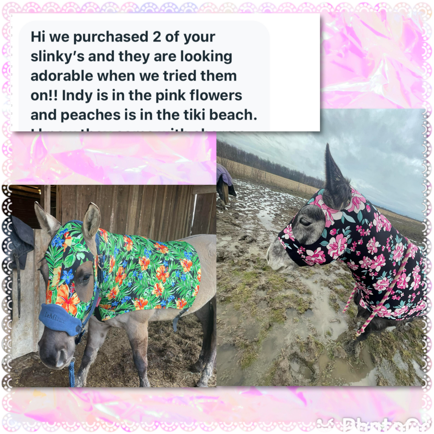 HORSE SIZE SLINKY. FREE CHARM