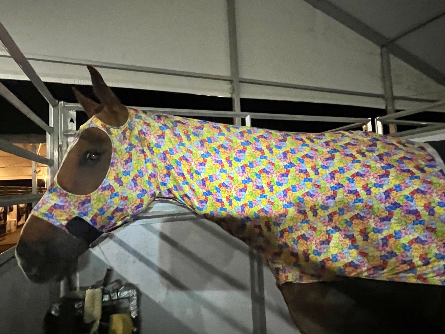 HORSE SIZE SLINKY. FREE CHARM