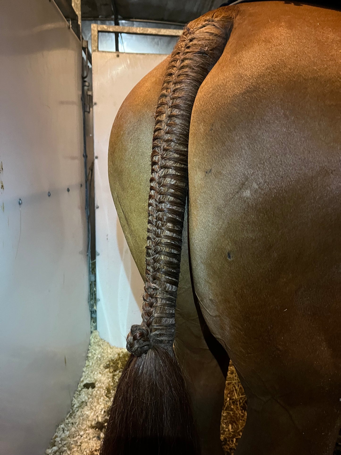 BRAIDING* Tutorials posted on the Facebook page: Katie’s Horse Care Supply (old), and Katie’s Horse Care Supply 2.0 (new). Instagram: Katie’s Horse Care Supply