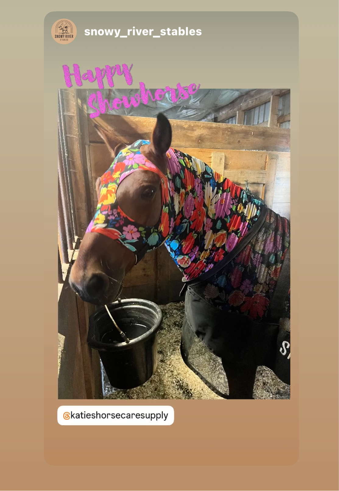 SMALL PONY SLINKY/SMALL-SIZED MEDIUM PONY. FREE CHARM