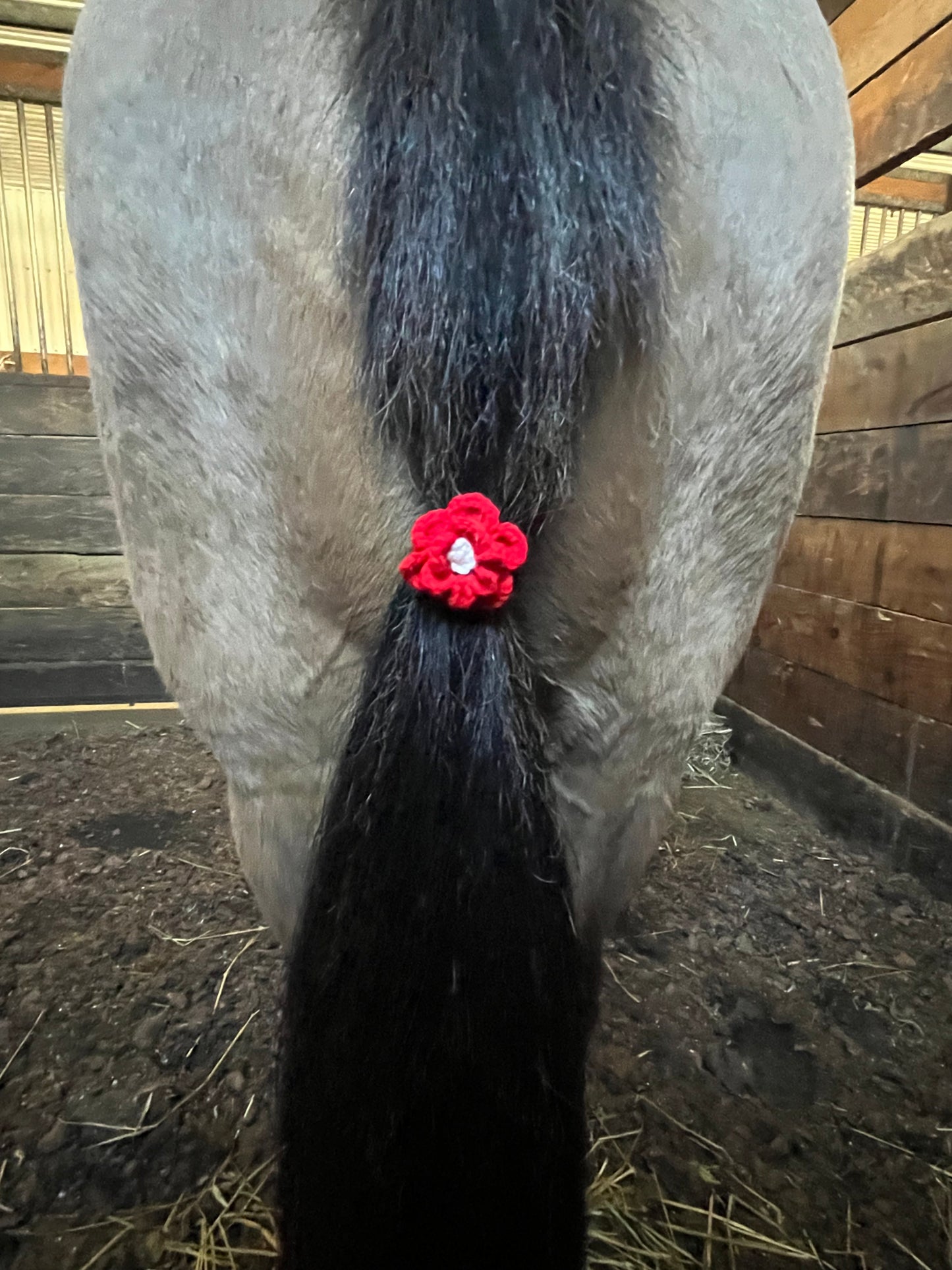 POM POMS & FLOWERS