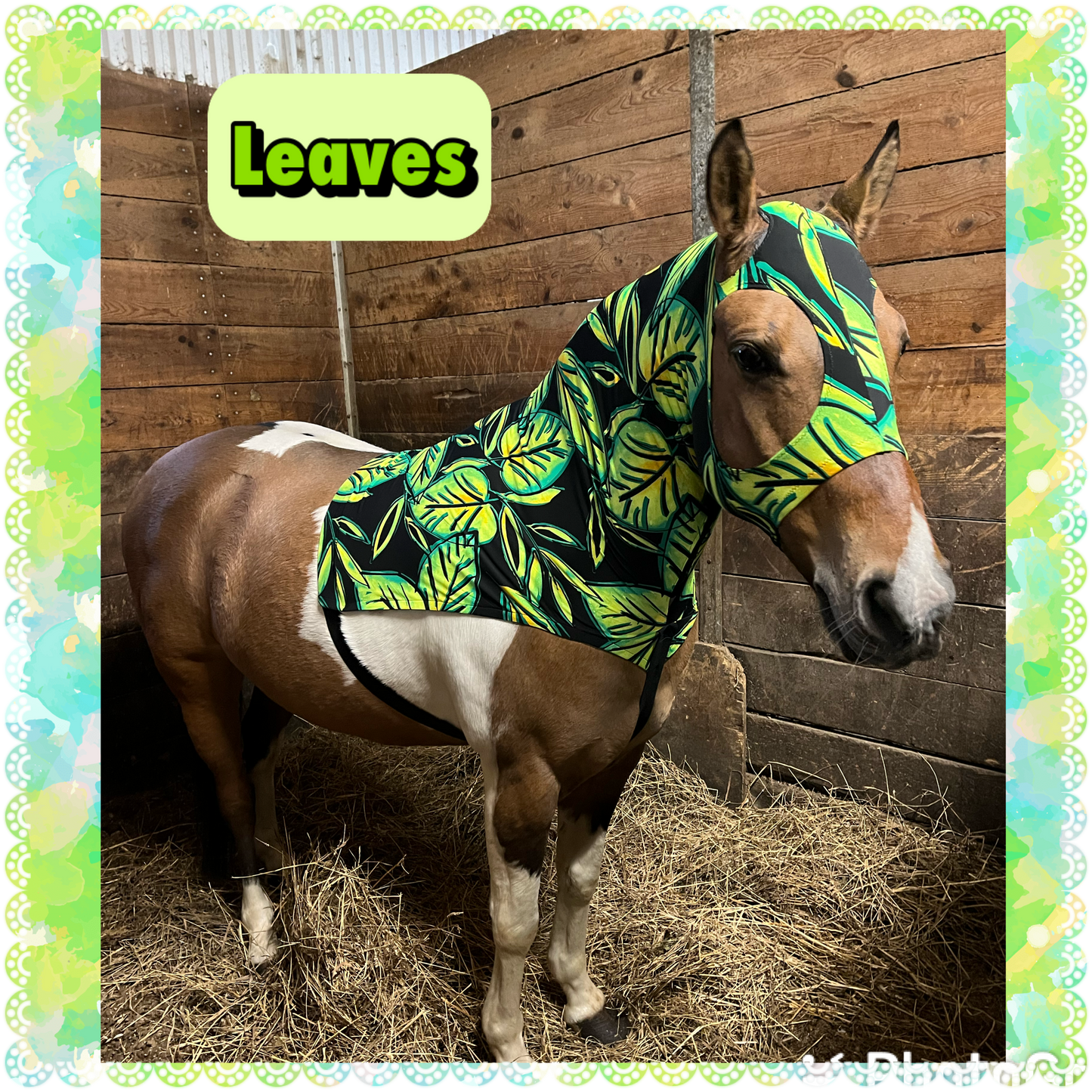 SMALL PONY SLINKY/SMALL-SIZED MEDIUM PONY. FREE CHARM