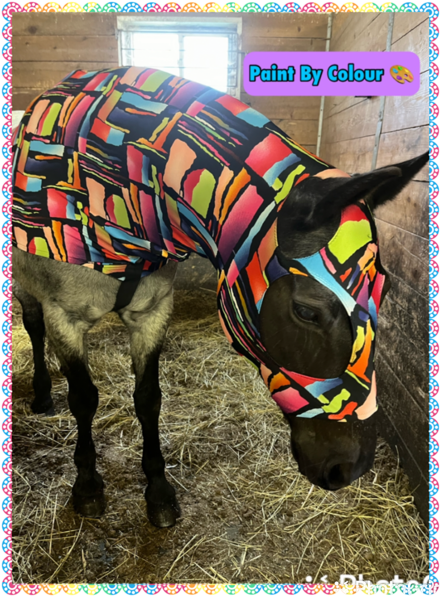 LARGE PONY/SMALL HORSE SLINKY. FREE CHARM