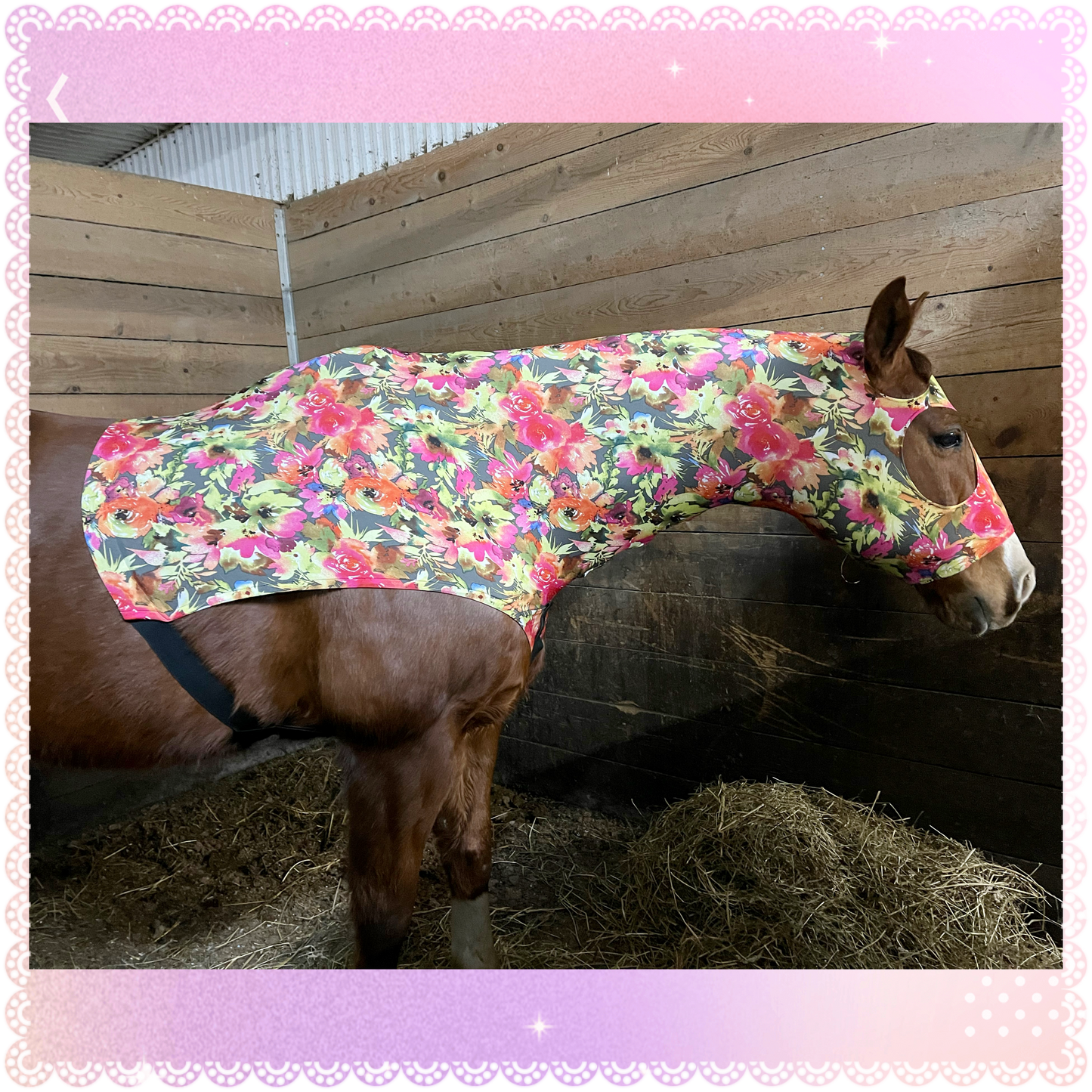 LARGE PONY/SMALL HORSE SLINKY. FREE CHARM