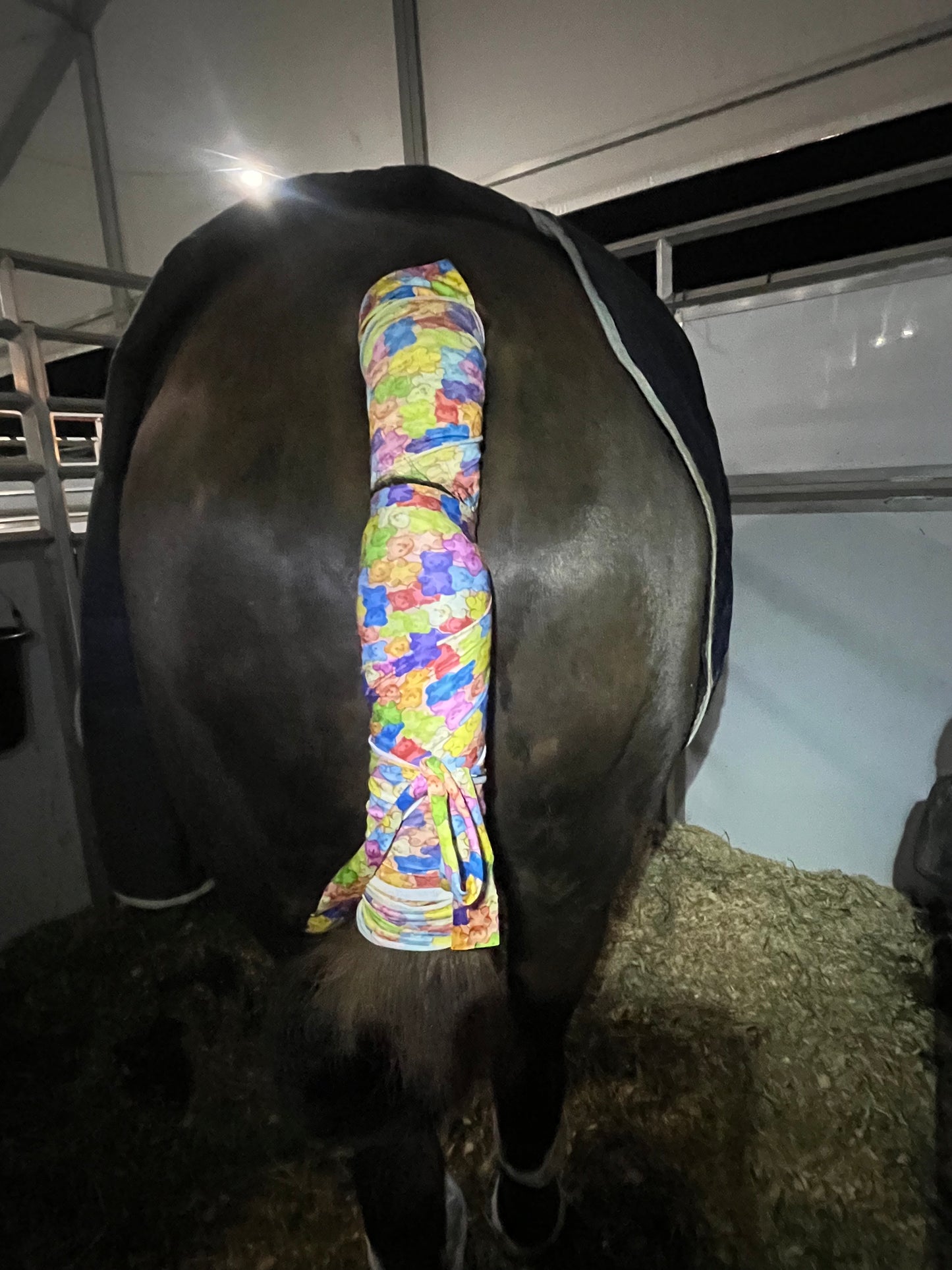 HORSE SIZE SLINKY. FREE CHARM