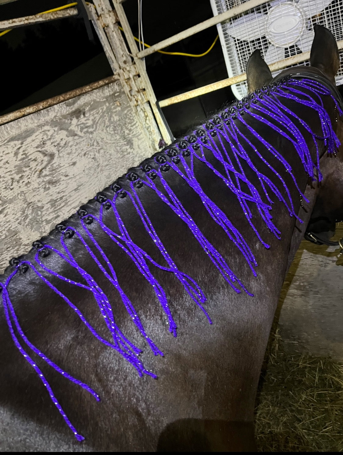 BRAIDING* Tutorials posted on the Facebook page: Katie’s Horse Care Supply (old), and Katie’s Horse Care Supply 2.0 (new). Instagram: Katie’s Horse Care Supply