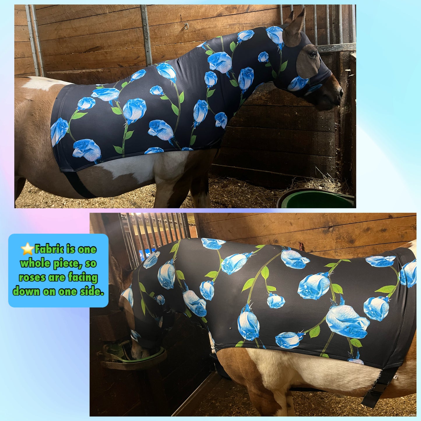 MEDIUM PONY SLINKY/SMALL-SIZED LARGE PONY. FREE CHARM