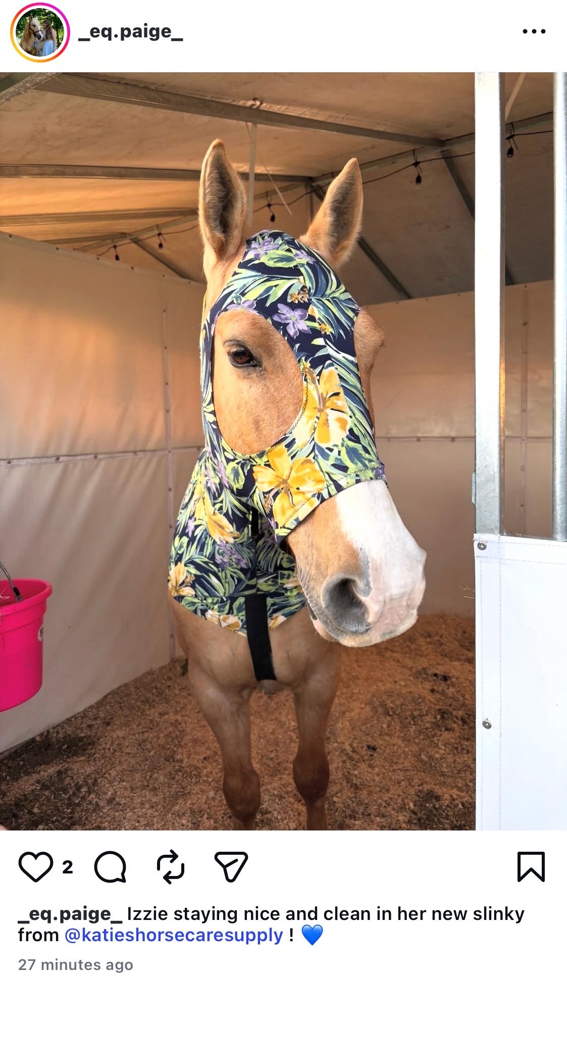 LARGE PONY/SMALL HORSE SLINKY. FREE CHARM