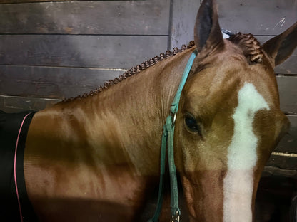 BRAIDING* Tutorials posted on the Facebook page: Katie’s Horse Care Supply (old), and Katie’s Horse Care Supply 2.0 (new). Instagram: Katie’s Horse Care Supply